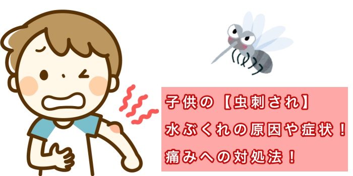 子供の 虫刺され 水ぶくれの原因や症状 痛みへの対処法 Kazamidori